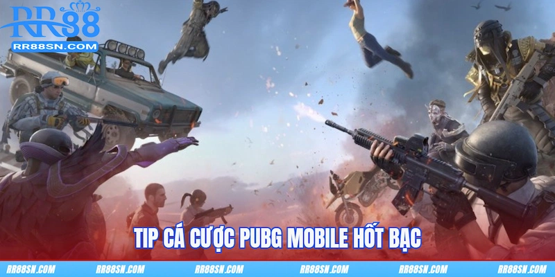 Tip cá cược PUBG Mobile hốt bạc